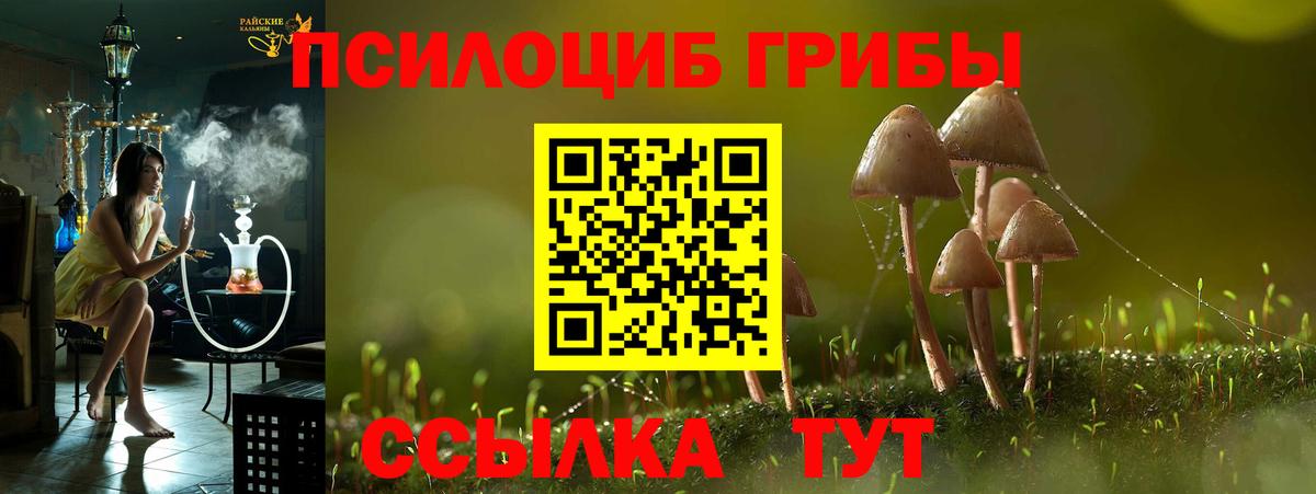 Озёрск  Псилоцибиновые грибы MAGIC MUSHROOMS  Псилоцибиновые грибы Psilocybe  Вход с VPN 